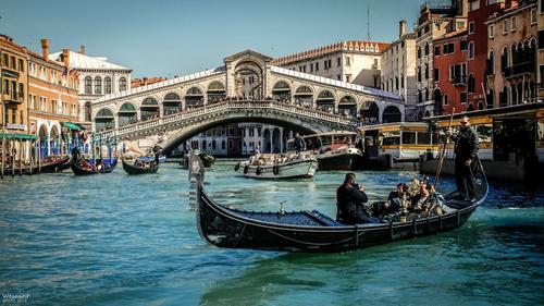 威尼斯运河出水母视频（威尼斯大运河游船）